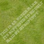 DEMO Grass