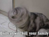 DRILL CAT!