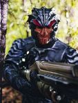 Hirogen Soldier