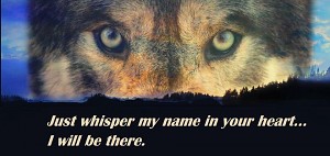 wolf