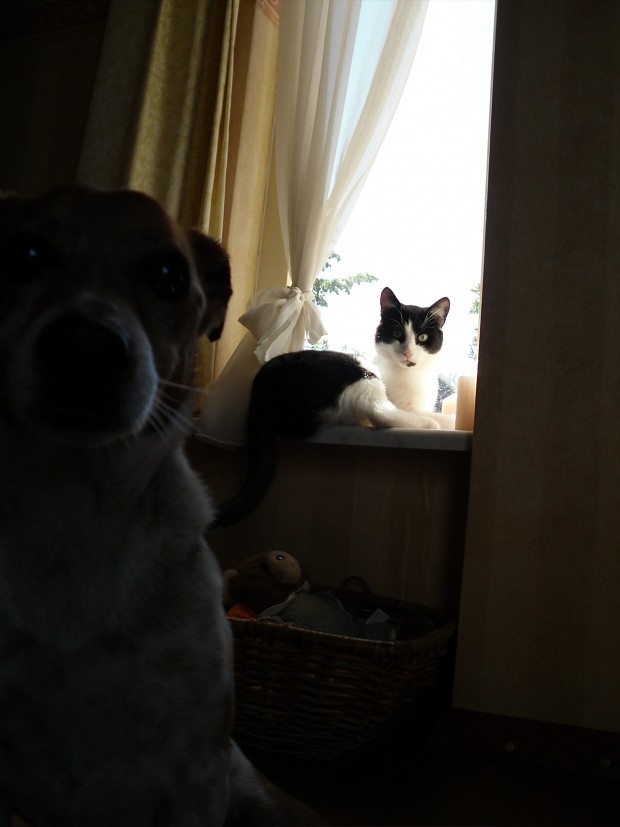 Keep out... human