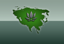 Battlefield 2142 - New PAC Flag