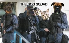 The dog squad