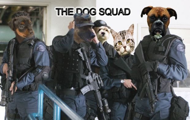 The dog squad