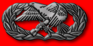 maintenance badge