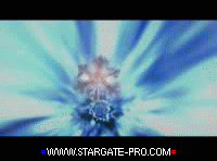 stargate