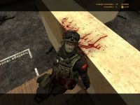 Counter Strike Source