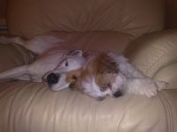 Kim (on the left) and Molly (on the right)