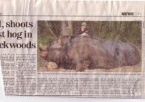 hog