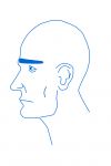 Model Sheet