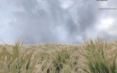 Grassy planes