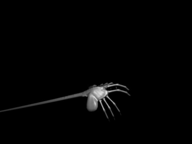 Alien Face Hugger