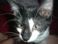Just some pics of me, and one of my cat!
