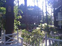 The beauty of my land!