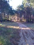 The beauty of my land!