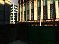 Aparment - Backyard