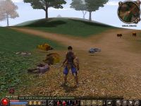 Metin 2 *u*