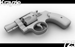 Smith & Wesson Small J-Frame Revolver