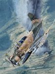 Skyraider SAR Mission