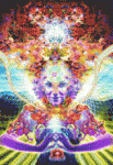 Salvia Godess