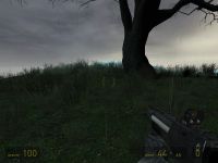 Forest Map