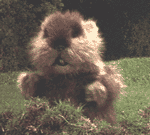 Caddyshack