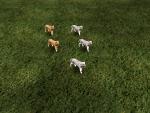 White Witch's tigers