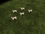 White Witch's wolves