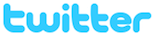 twitter logo button