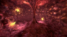 Xenroom