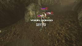 Mannor won playing on suicidal
