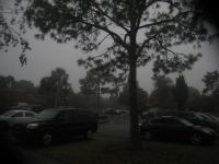 Foggy Fog