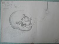 My first attempt to draw a scull.