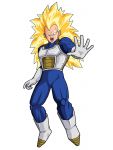 ssj3 vegeta