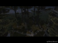 Caras Galadhon