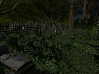 Old Graveyard