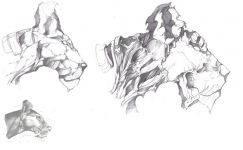 lion head fantasy 