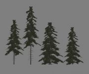 trees