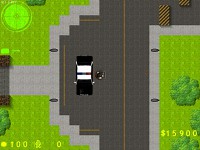 Police Officer At Work