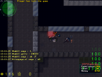 Hitsu's Tibia