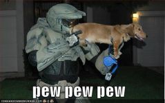 PEWPEWPEW