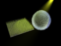 Fur and Grass