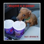 Pepsi Pup