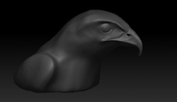 Hawk wip
