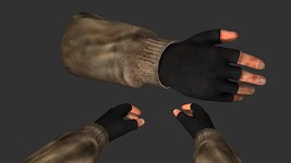 Final Arm