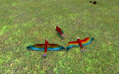 Seagull Reskin!!!