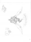 A few old drawings