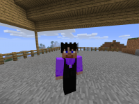 Onision in Minecraft