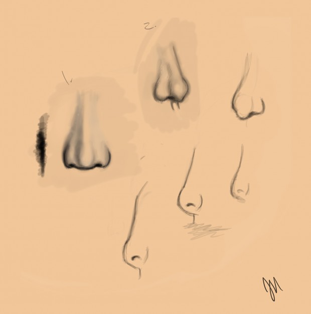 Nose Sketches