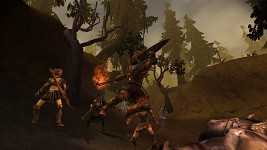 Dragon Age Origins Glitches